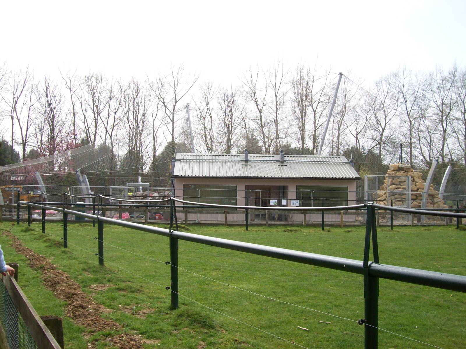 New Snow leopard enclosure