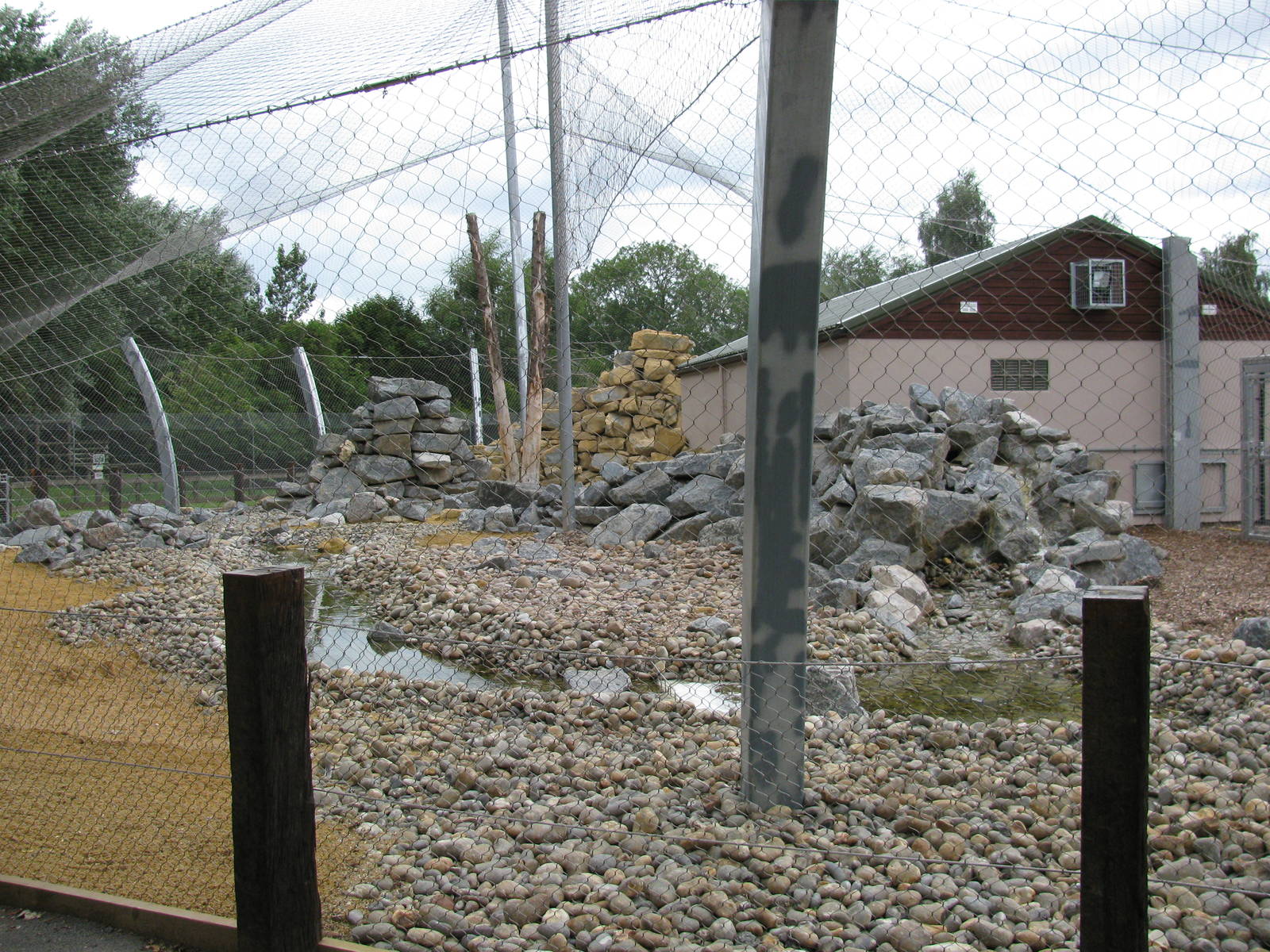 New Snow Leopard exhibit