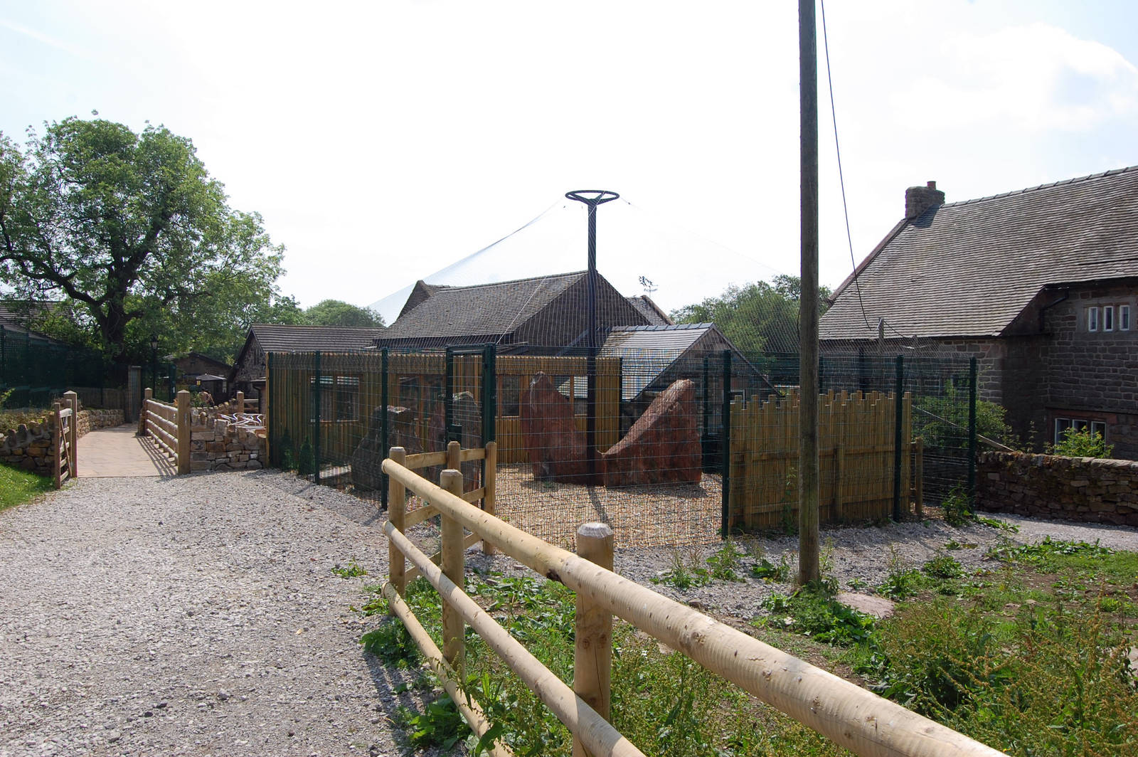New Snowy Owl Aviary