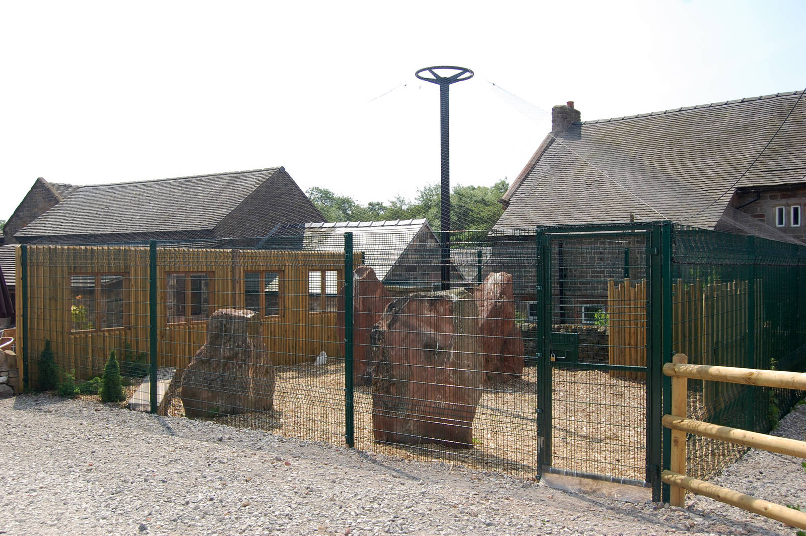 New Snowy Owl Aviary