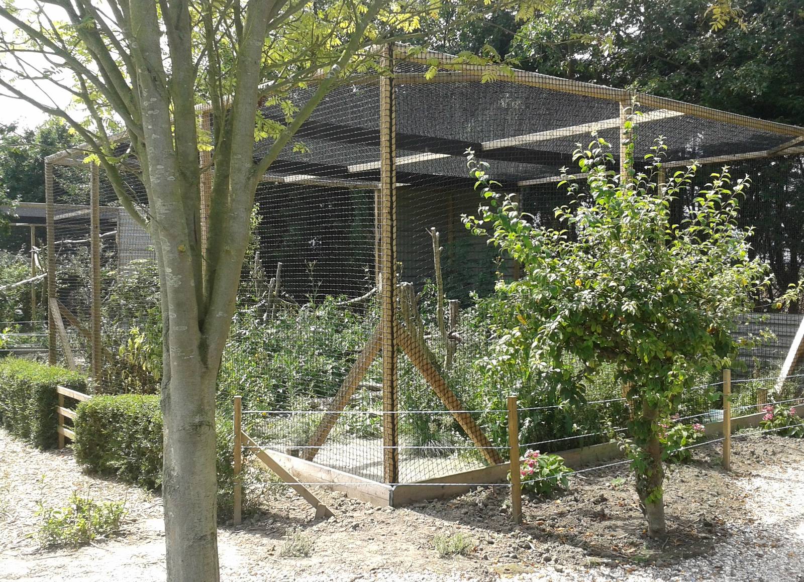 New snowy owl aviary
