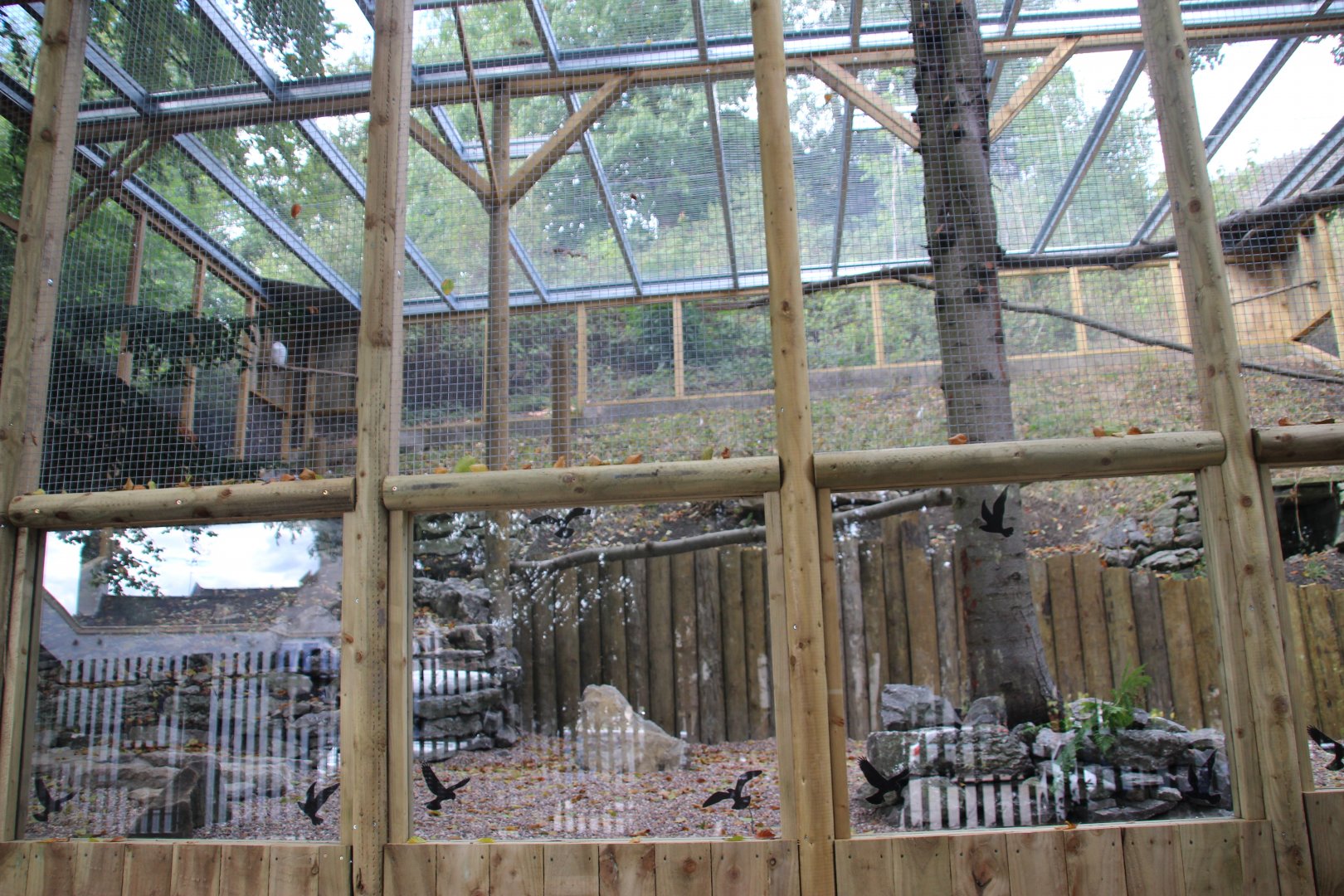 New Snowy Owl Aviary