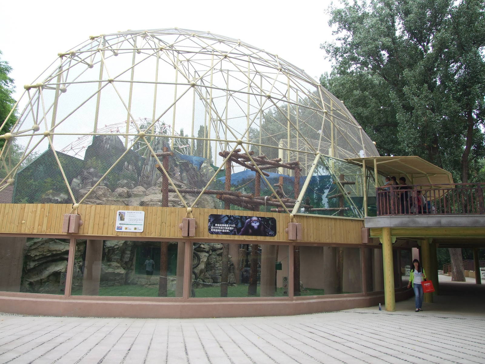 New snub-nosed monkey exhibit