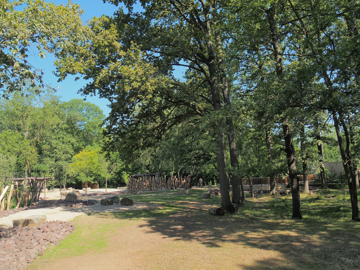 New Somali wild ass and Saharan Dorcas gazelle paddock, 2023-07-19