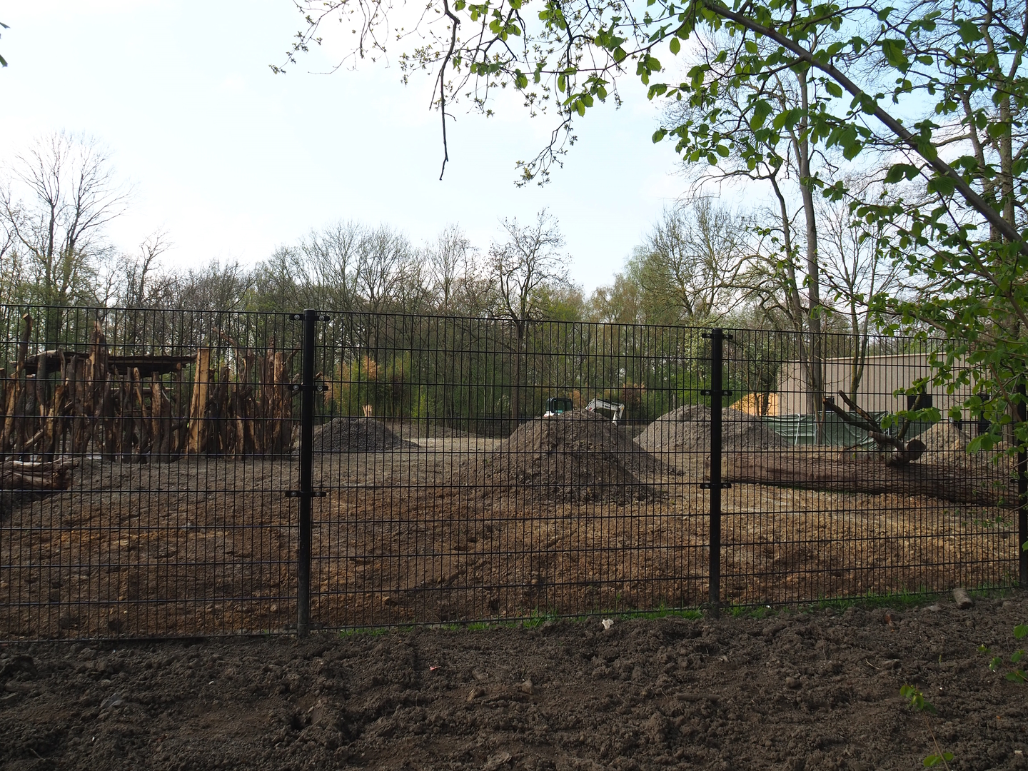 New Somali wild ass - Dorcas gazelle - Ostrich paddock construction site, 2022-04-18