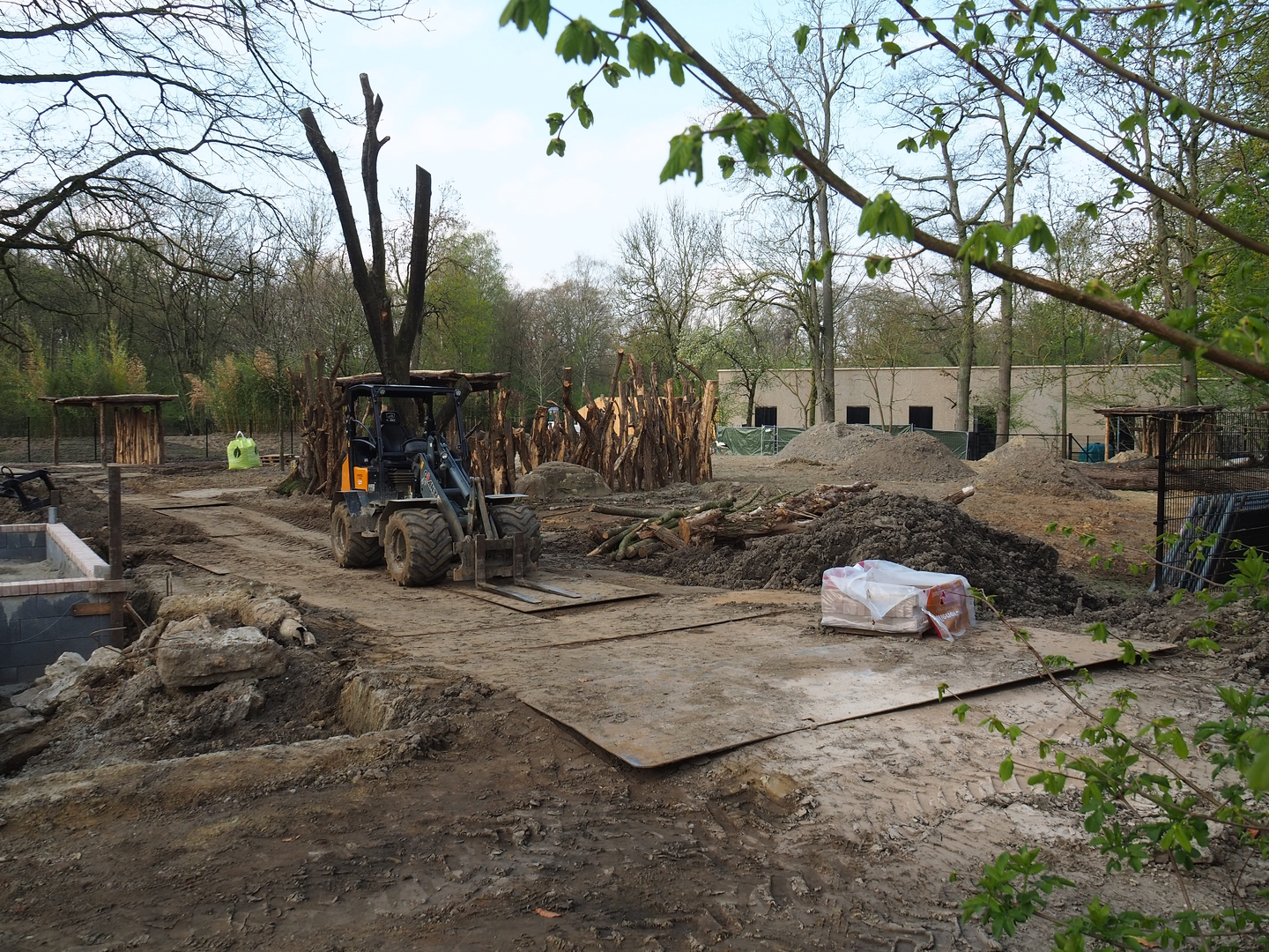 New Somali wild ass - Dorcas gazelle - Ostrich paddock construction site, 2022-04-18