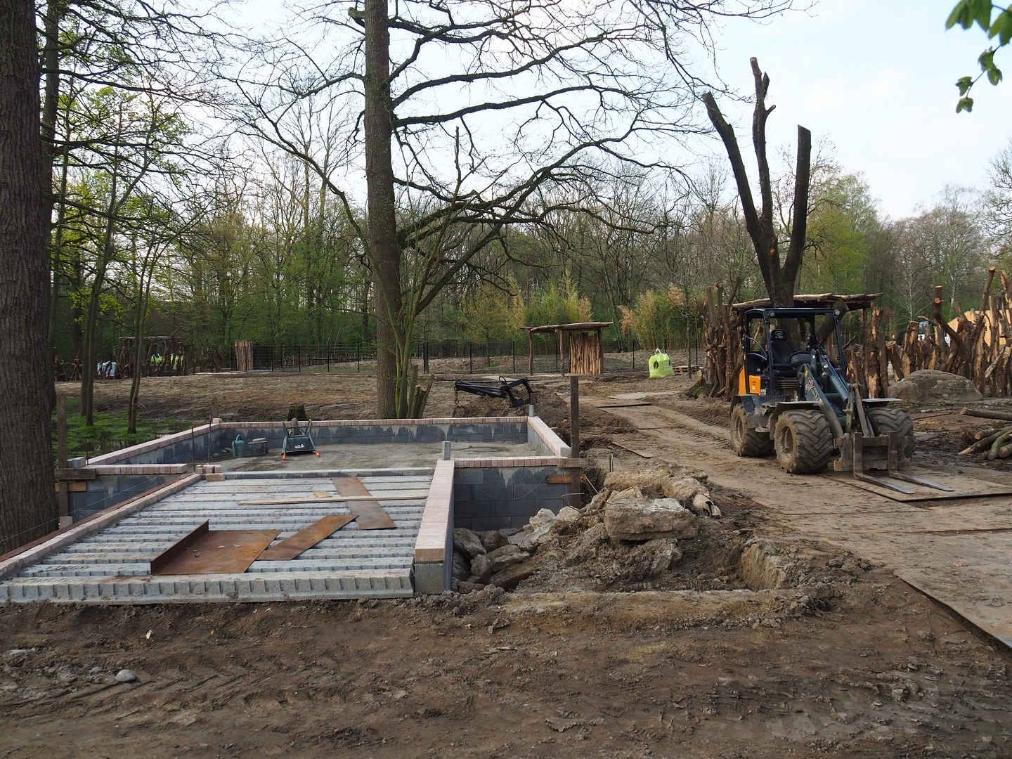 New Somali wild ass - Dorcas gazelle - Ostrich paddock construction site, 2022-04-18