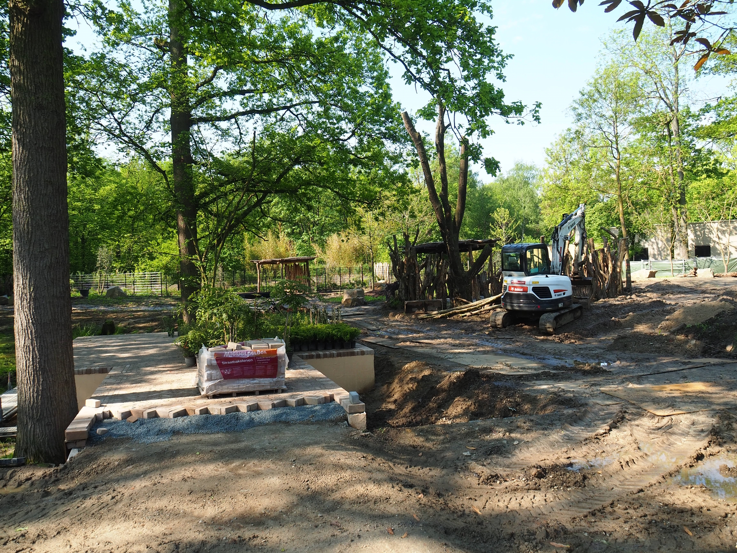 New Somali wild ass - Dorcas gazelle - Ostrich paddock construction site, 2023-05-13