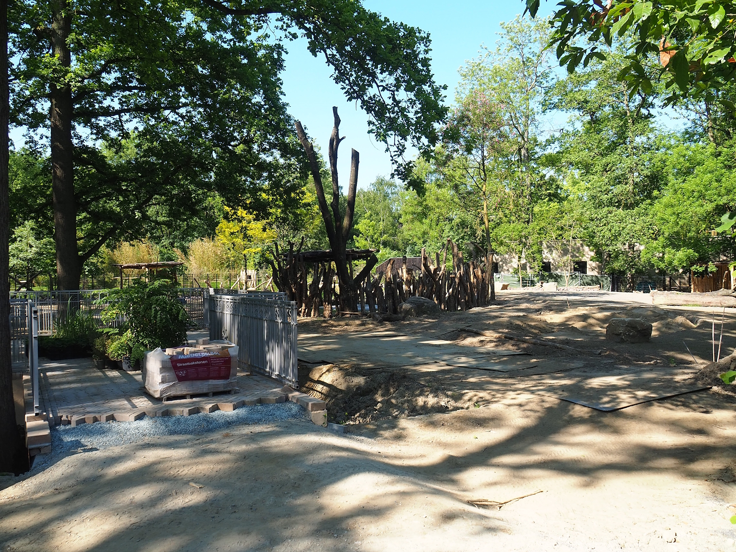 New Somali wild ass - Dorcas gazelle - Ostrich paddock construction site, 2023-06-04