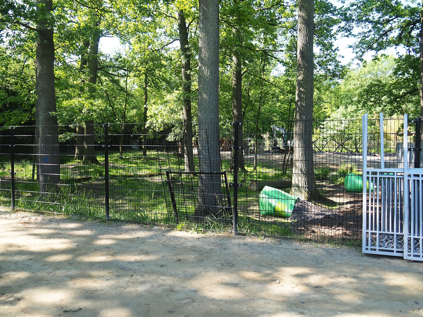 New Somali wild ass - Dorcas gazelle - Ostrich paddock construction site, 2023-06-04