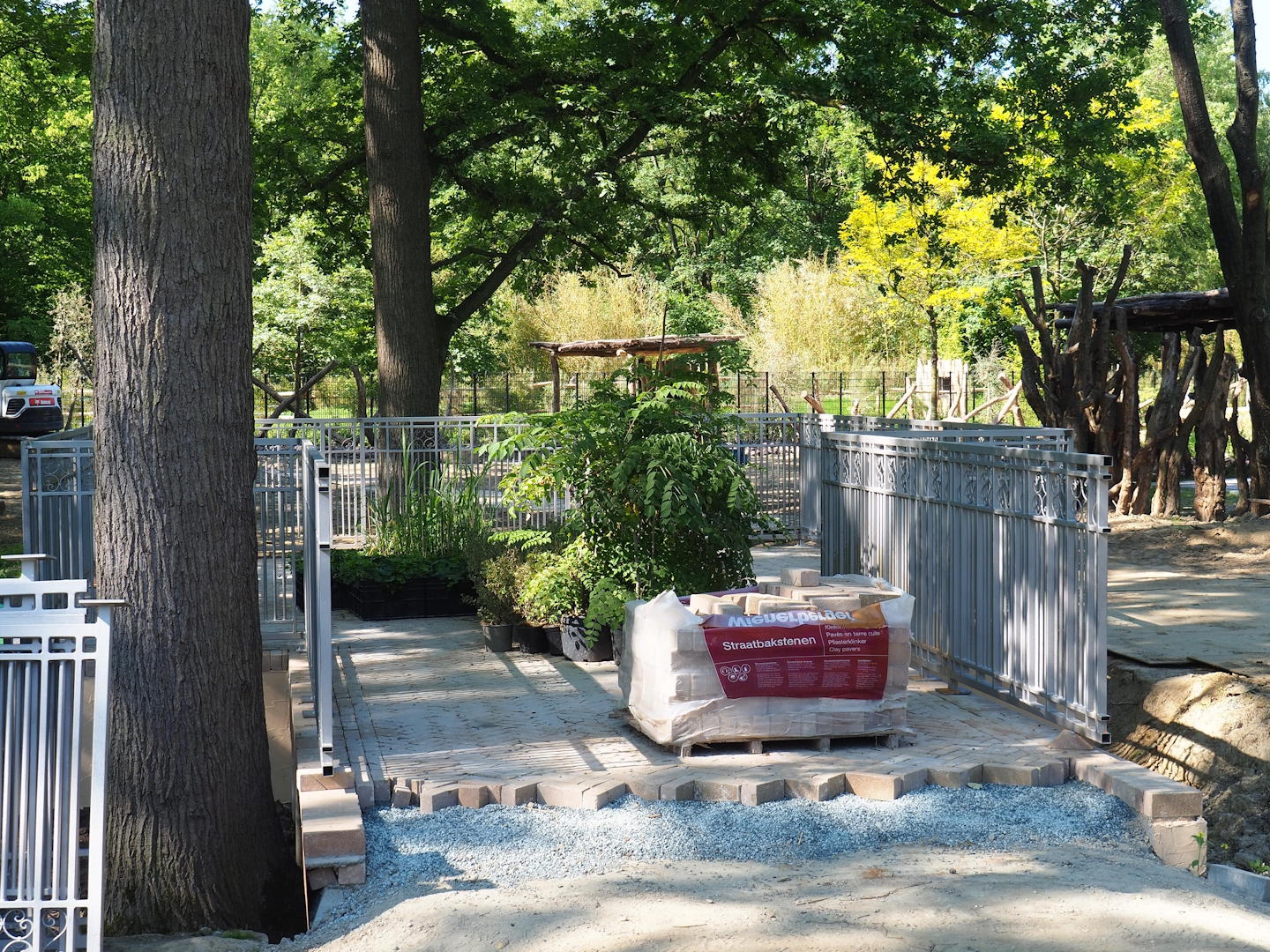 New Somali wild ass - Dorcas gazelle - Ostrich viewing area construction site, 2023-06-04