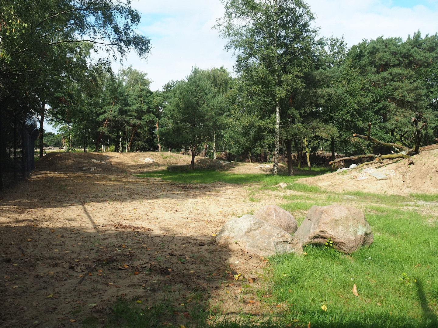 New South African cheetah exhibit complex, 2023-08-15