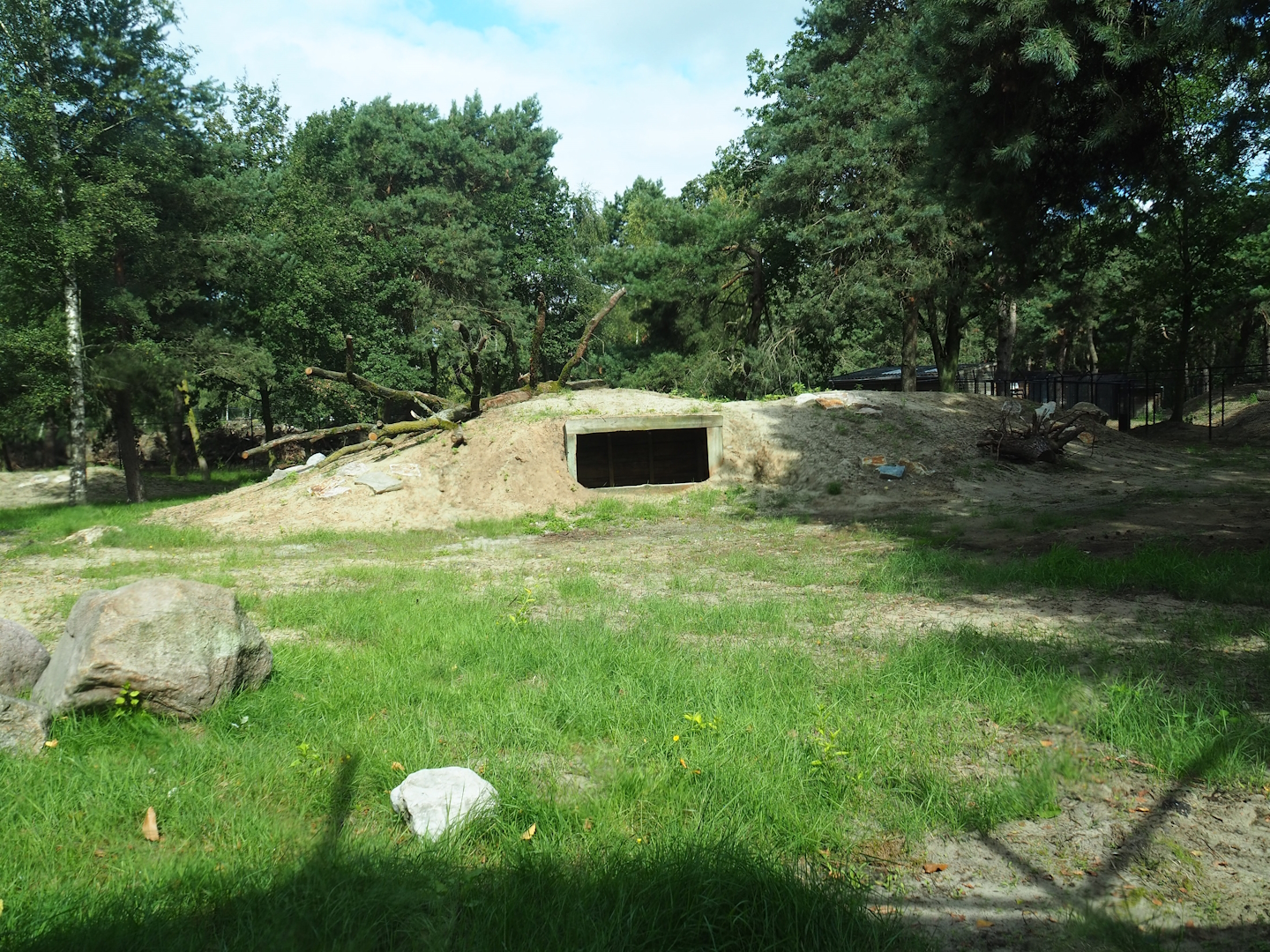 New South African cheetah exhibit complex, 2023-08-15