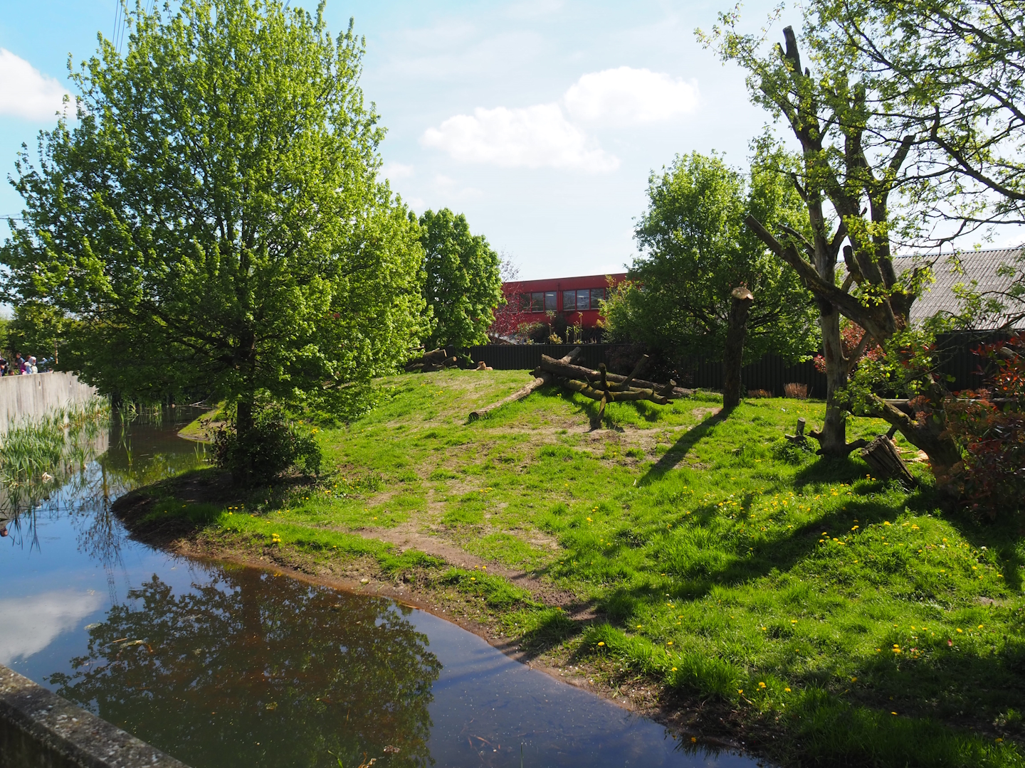 New South African cheetah exhibit (Former Asiatic black bear and Corsac fox exhibit), 2023-04-30
