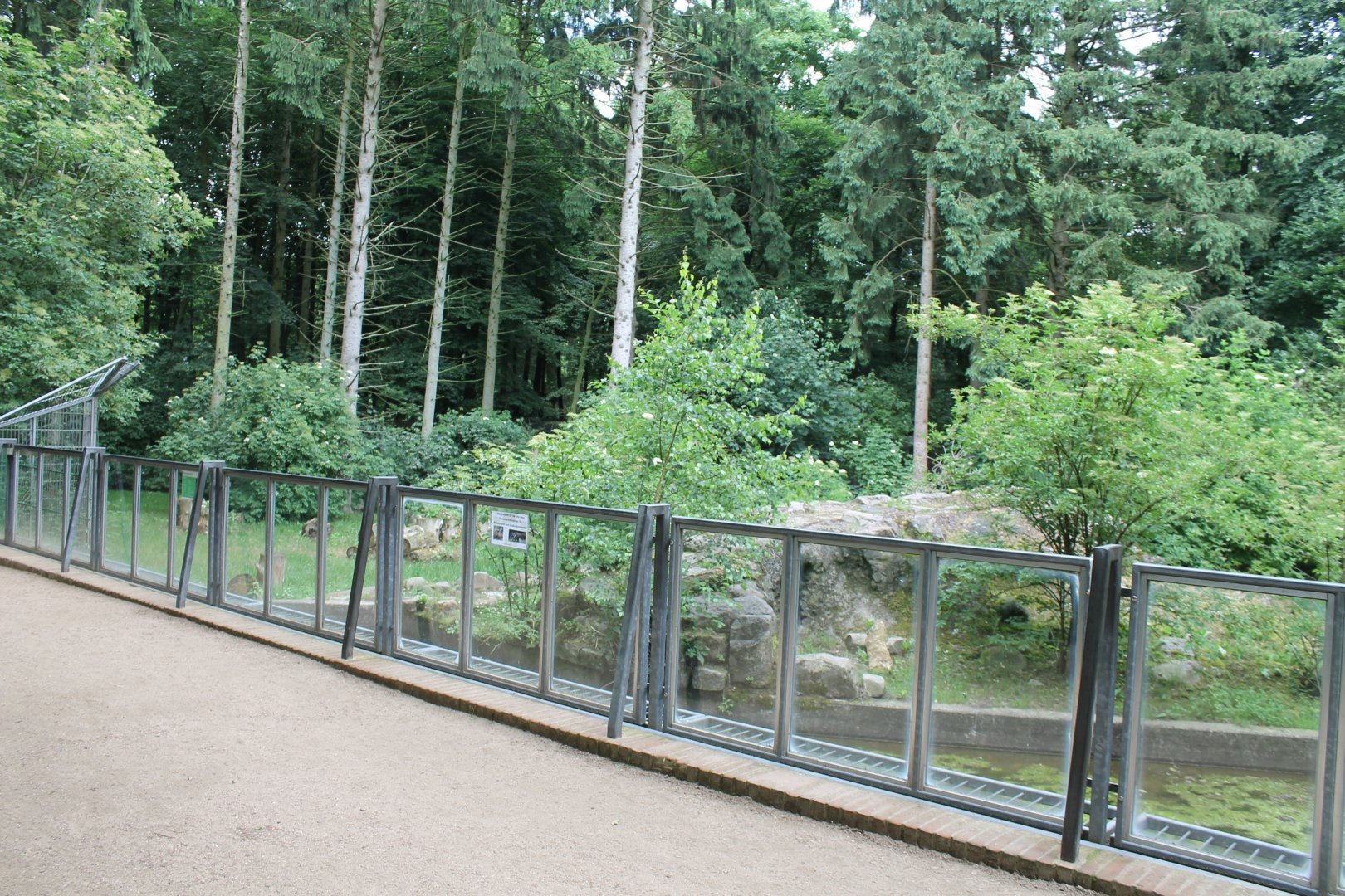 New South-america Eclosure