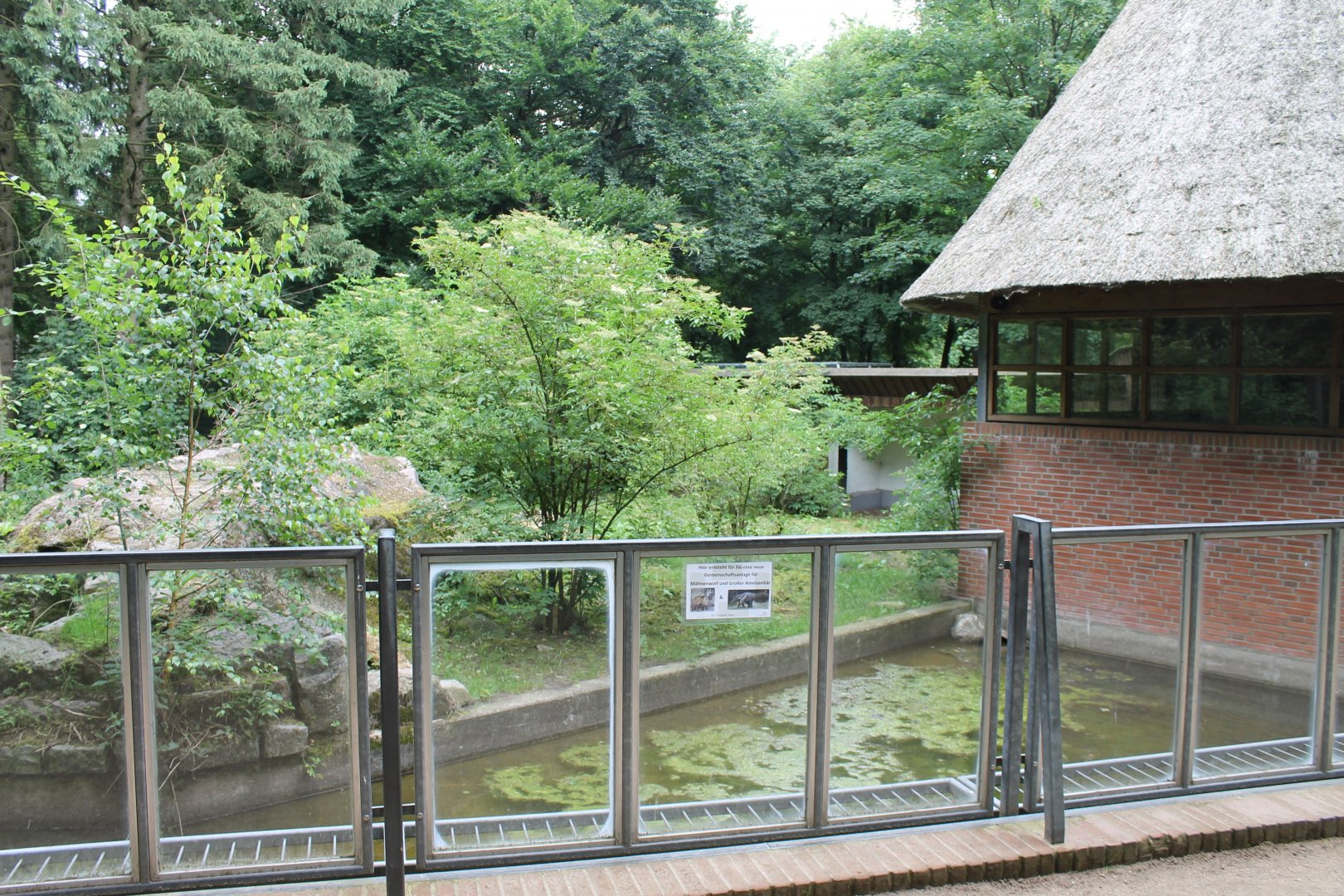 New South-america Enclosure