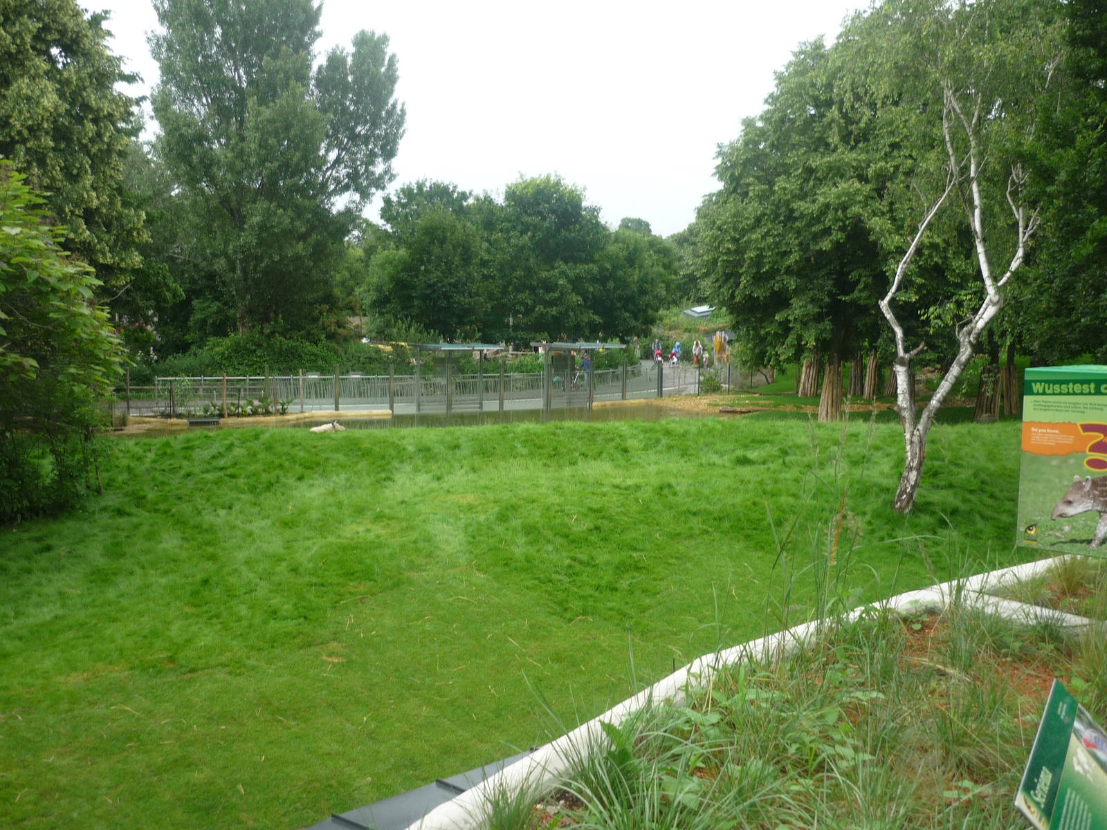 New South American Area