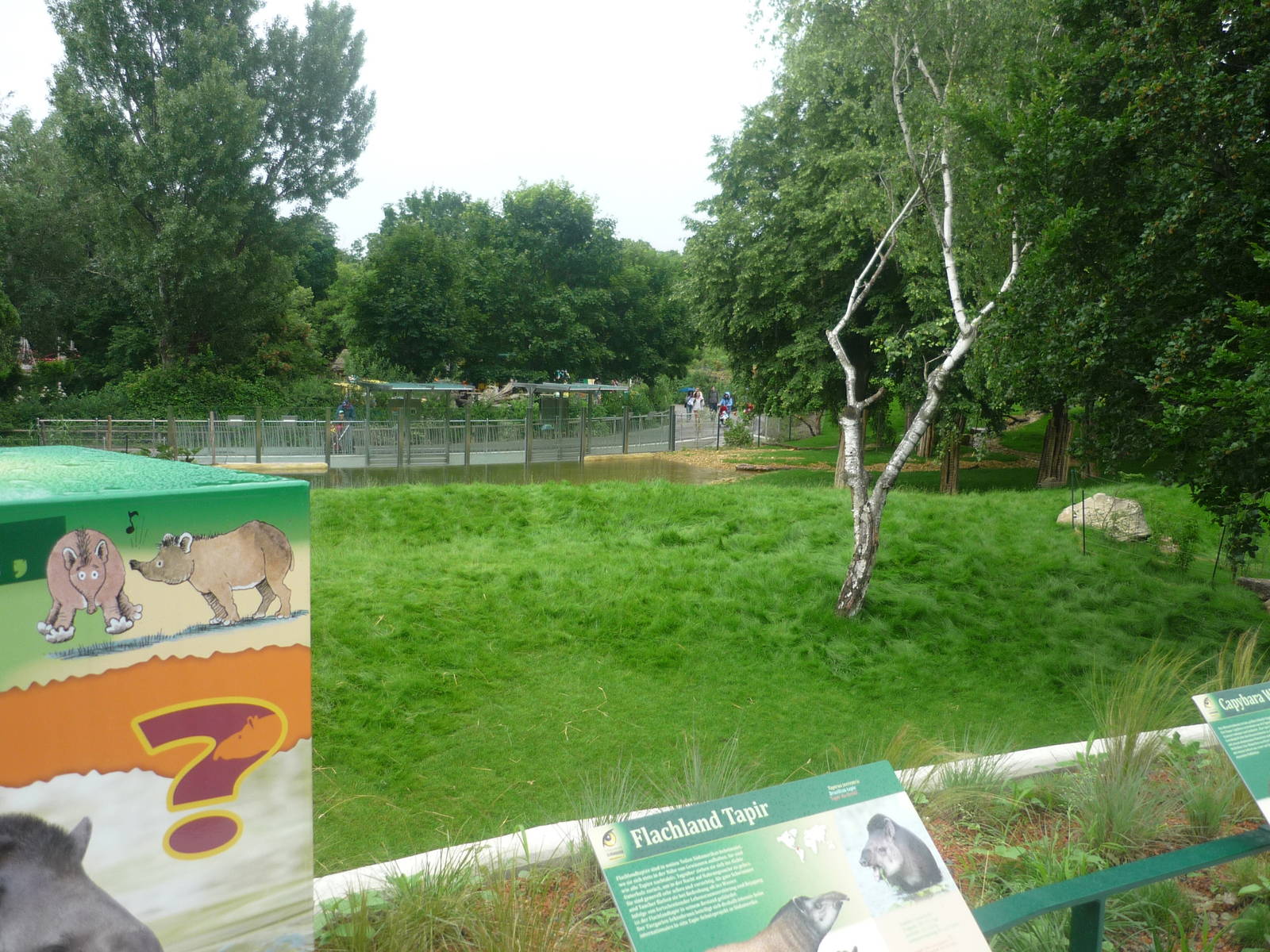 New South American Area