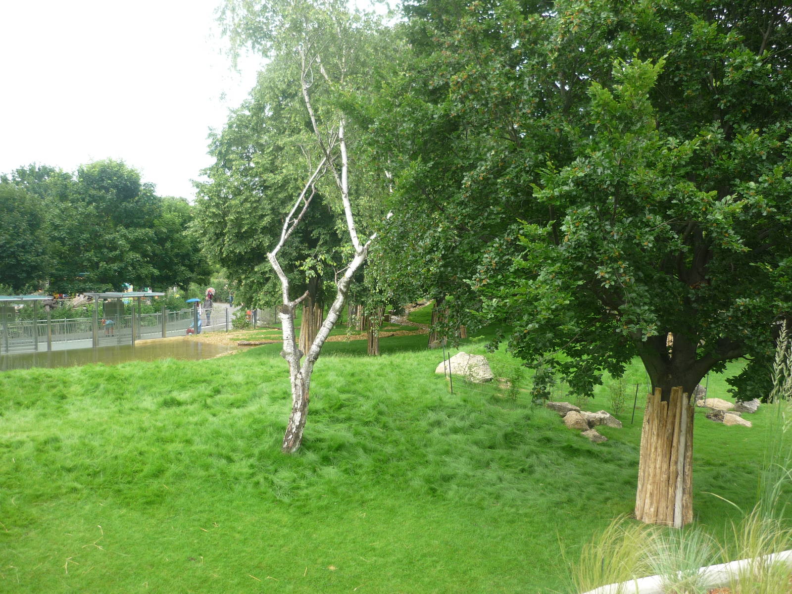 New South American Area