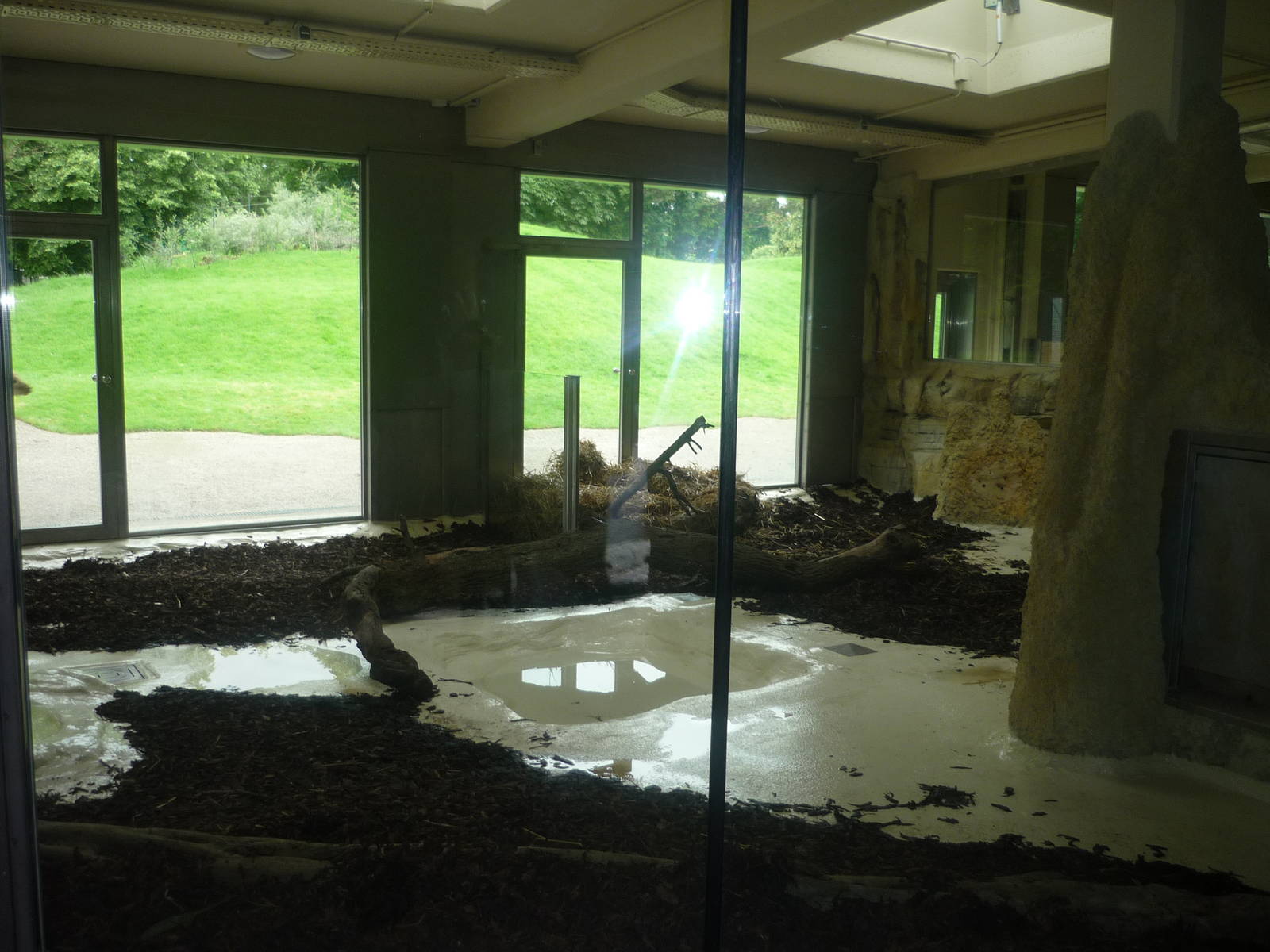 New South American Area