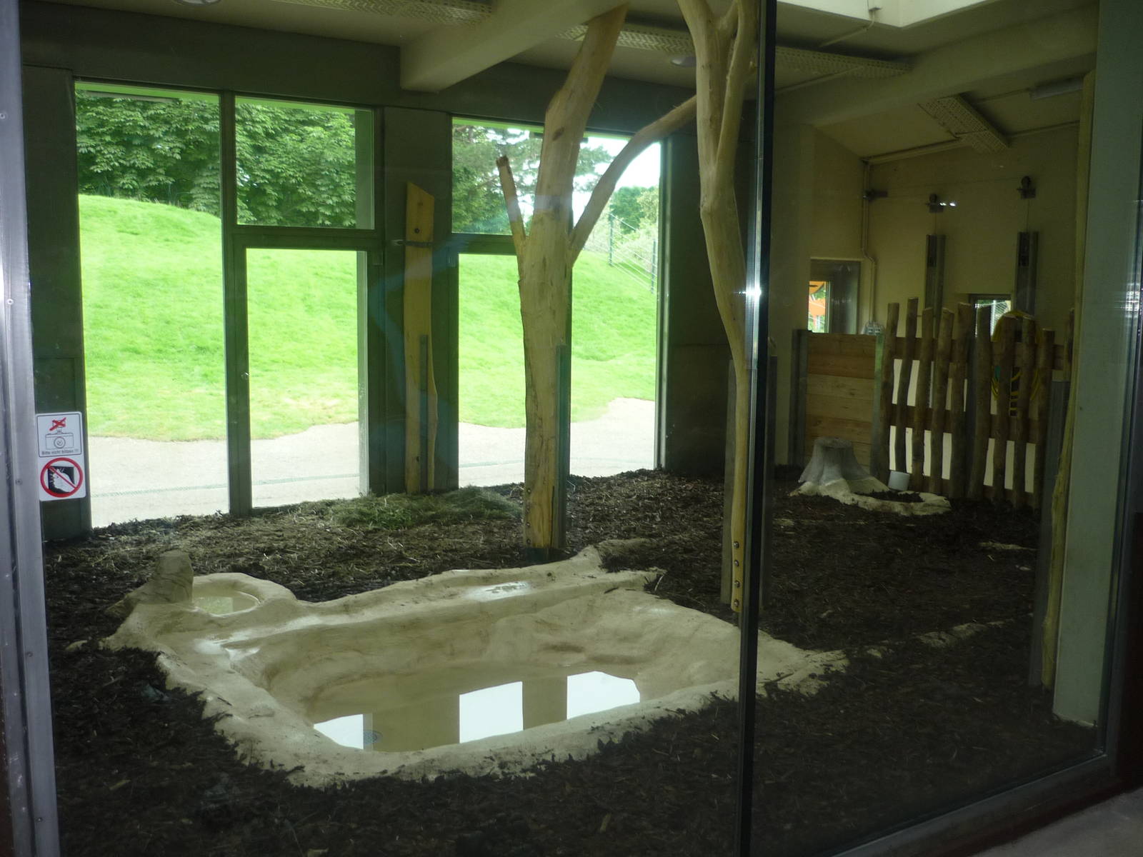 New South American Area