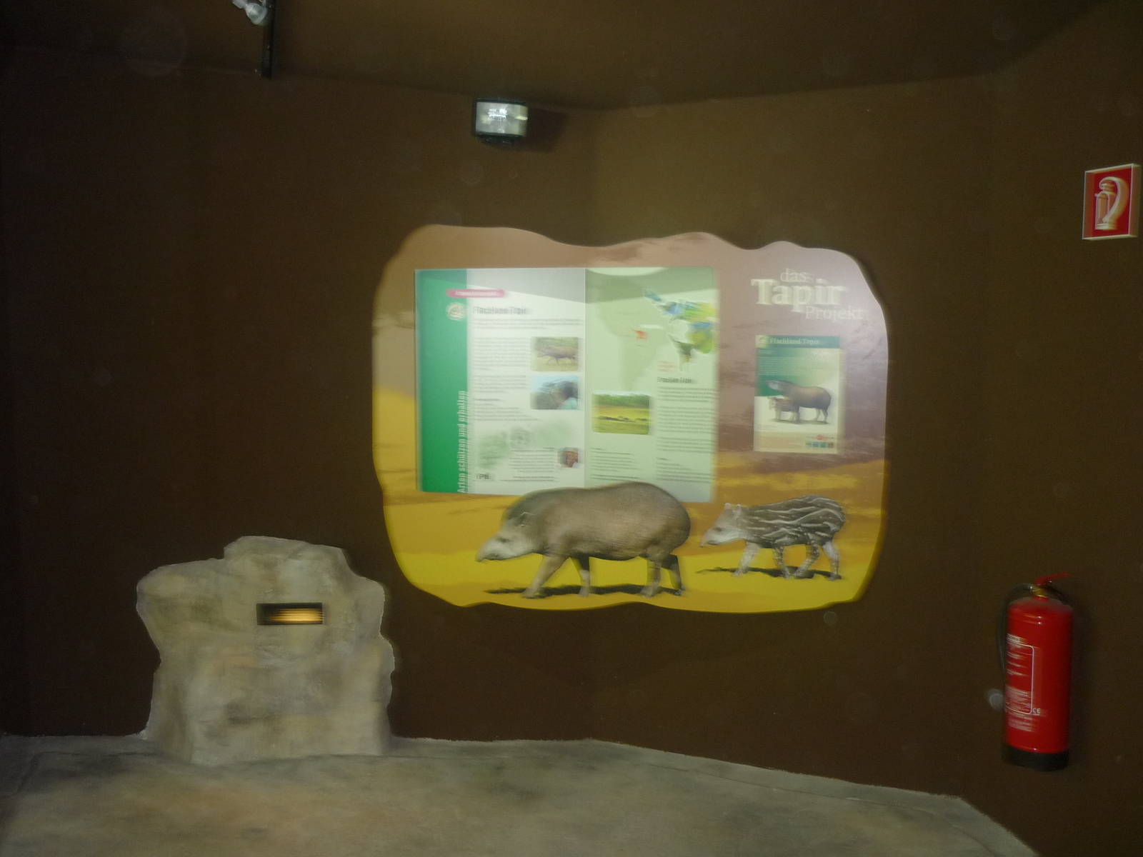 New South American Area