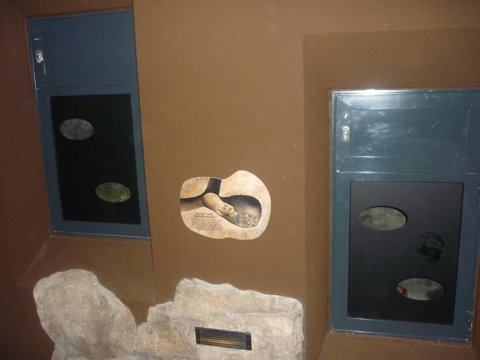 New South American Area