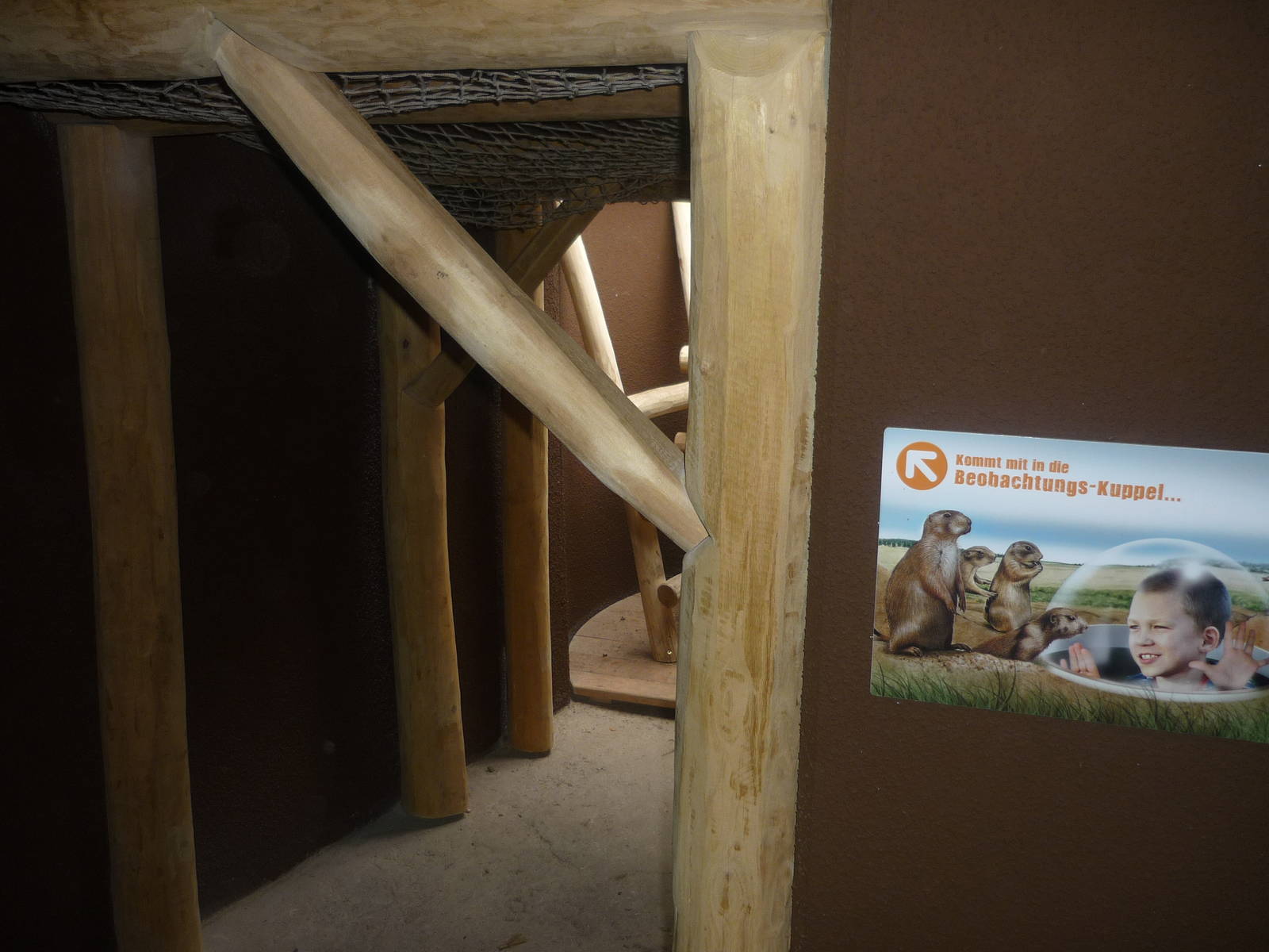 New South American Area