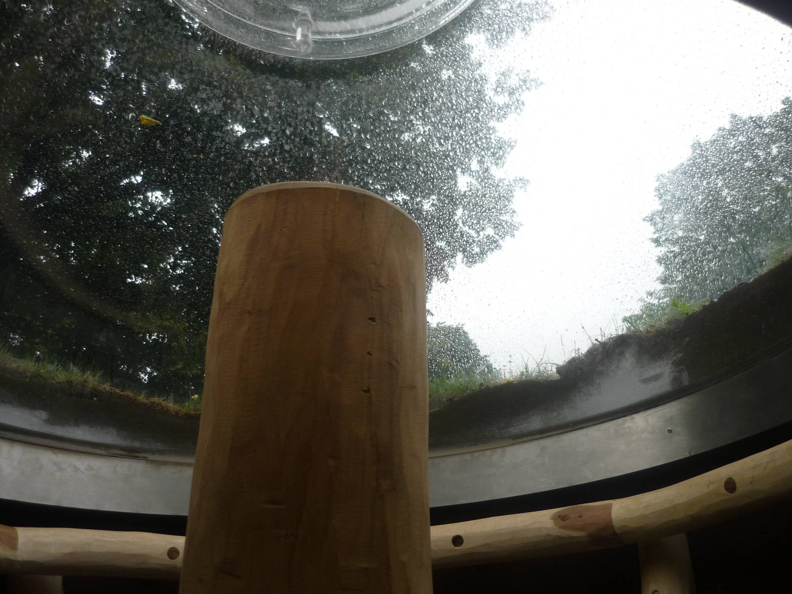 New South American Area