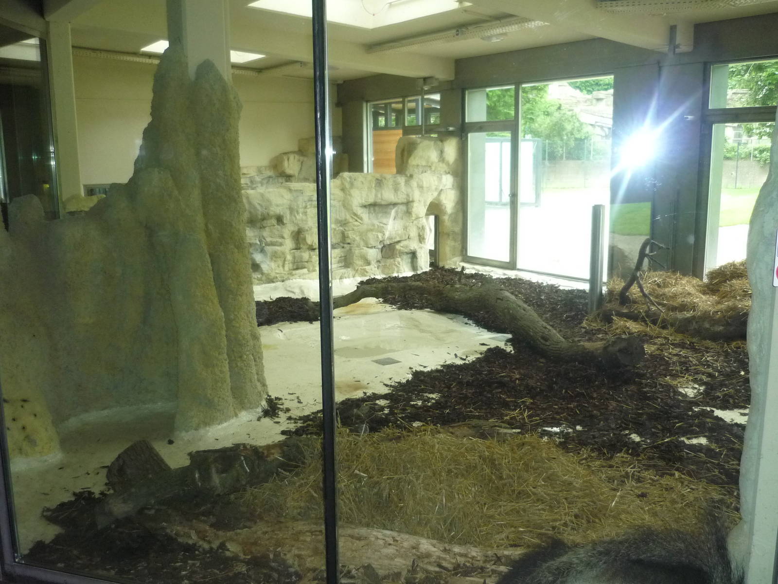 New South American Area