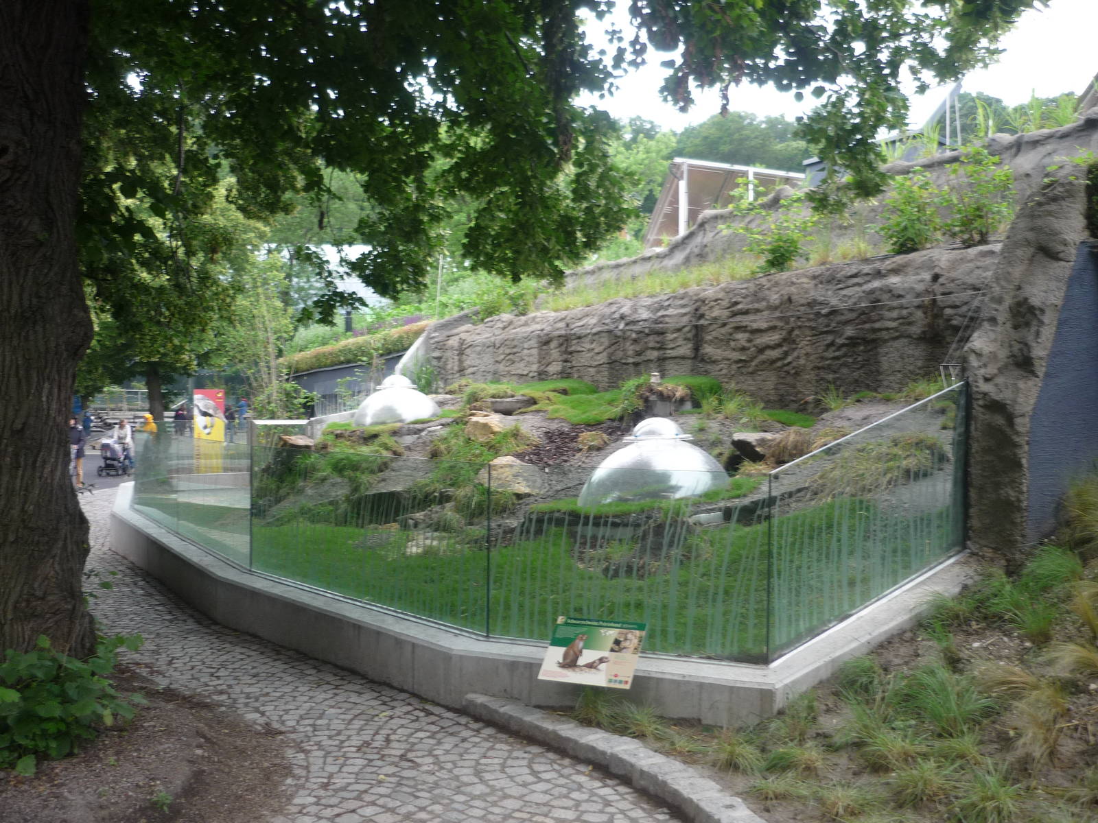 New South American Area