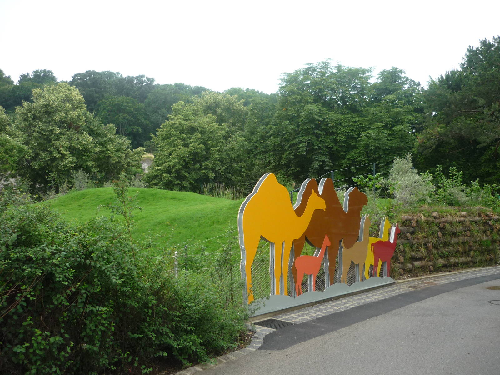 New South American Area