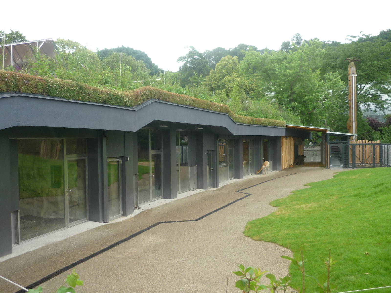 New South American Area