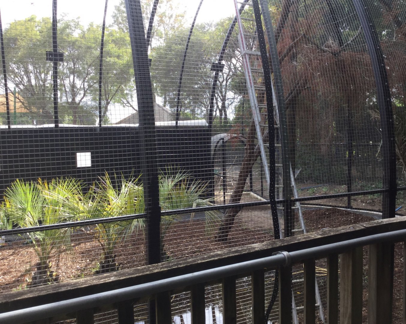 New South American Aviary (Opening Summer 2020)