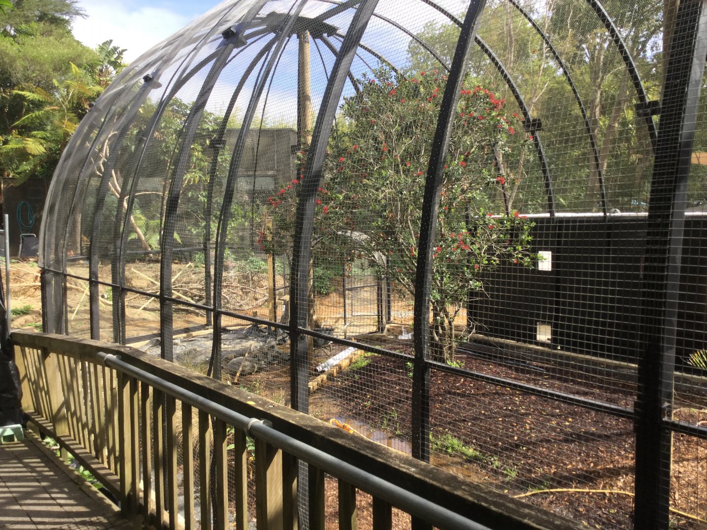 New South American Aviary (Opening Summer 2020)