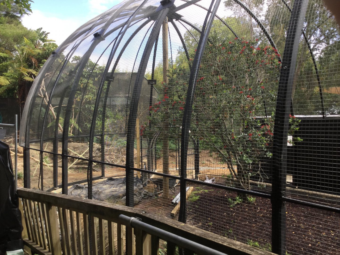 New South American Aviary (Opening Summer 2020)