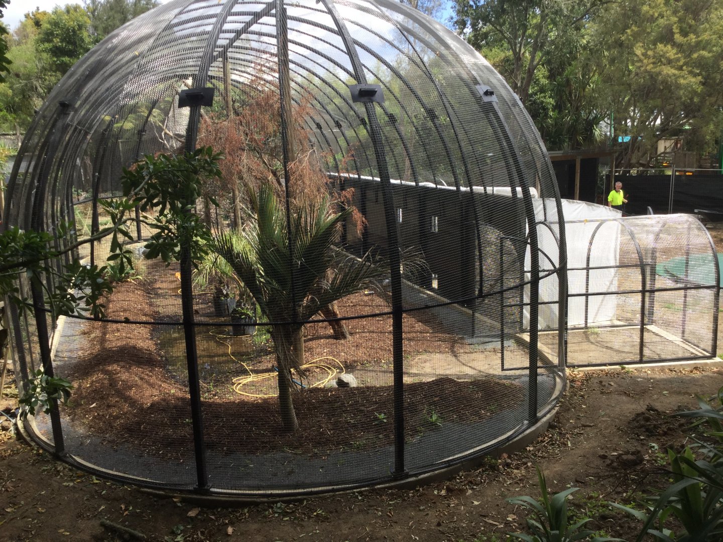 New South American Aviary (Opening Summer 2020)