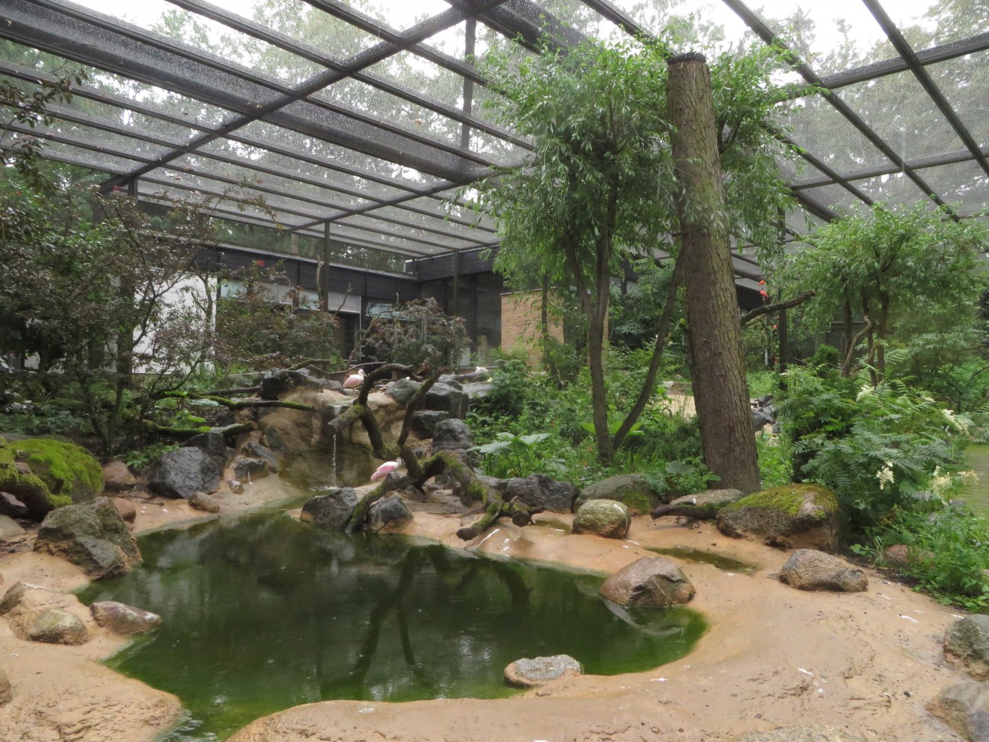 New South American aviary