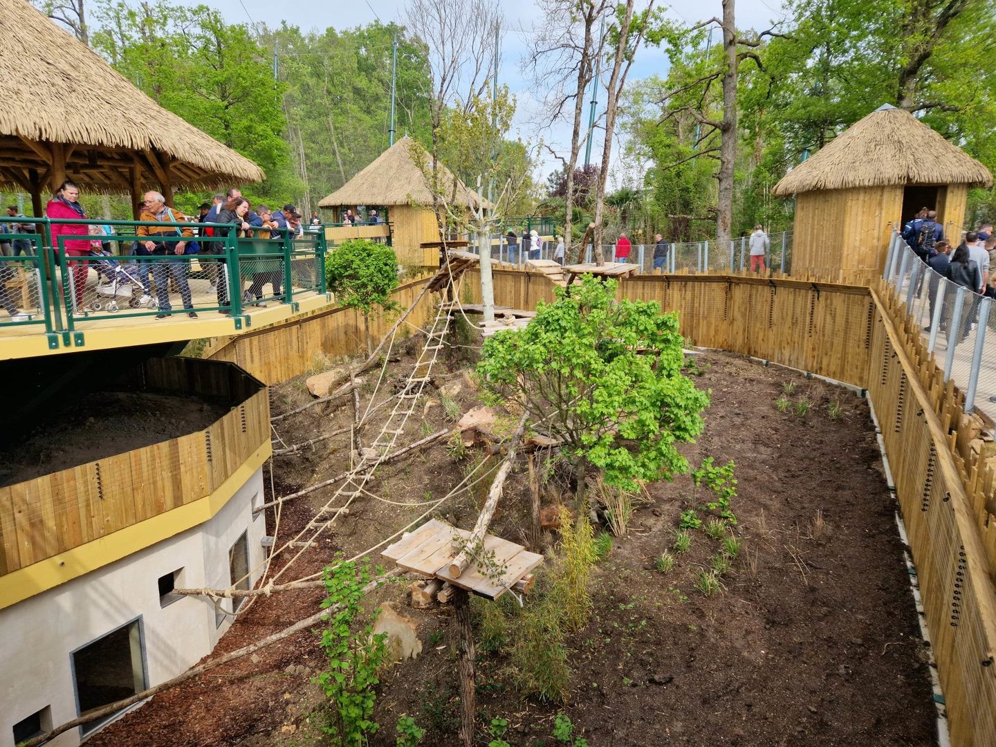 New South American Aviary