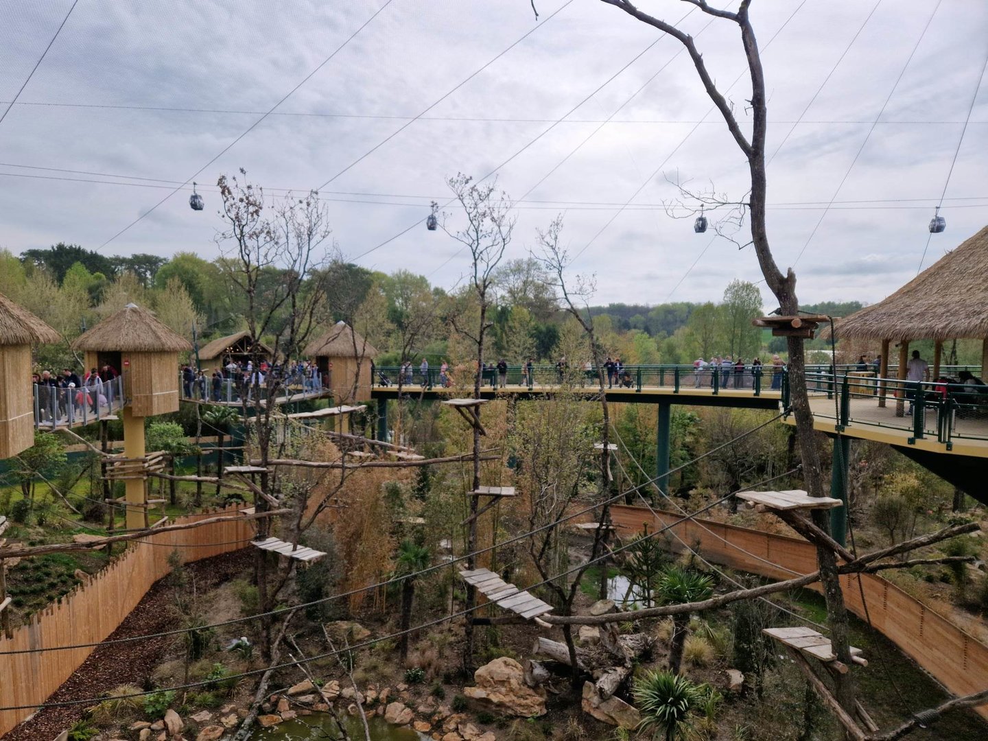 New South American Aviary