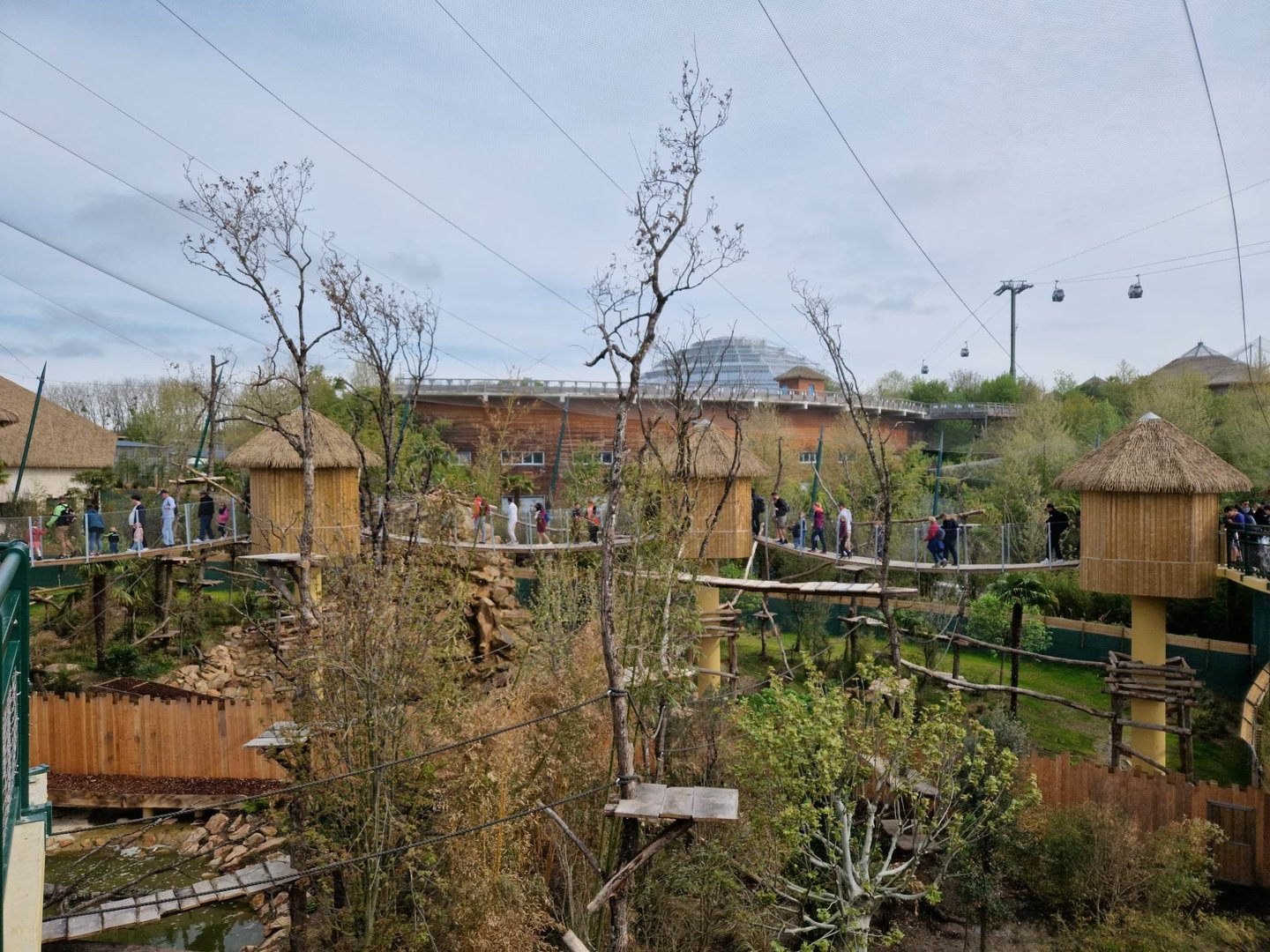 New South American Aviary