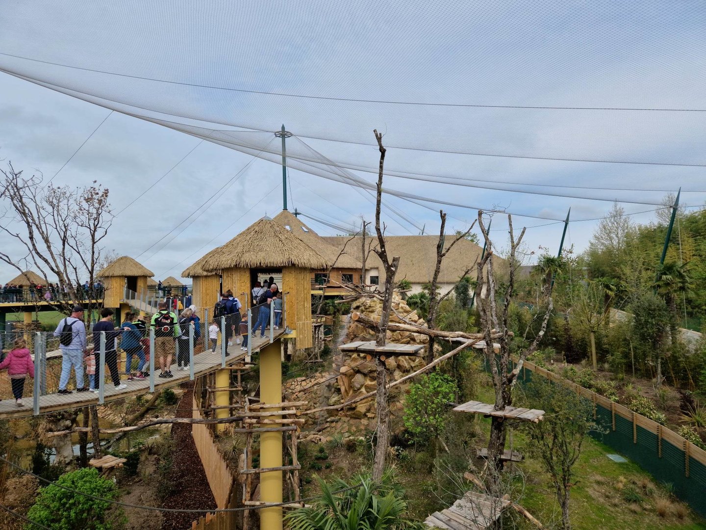 New South American Aviary