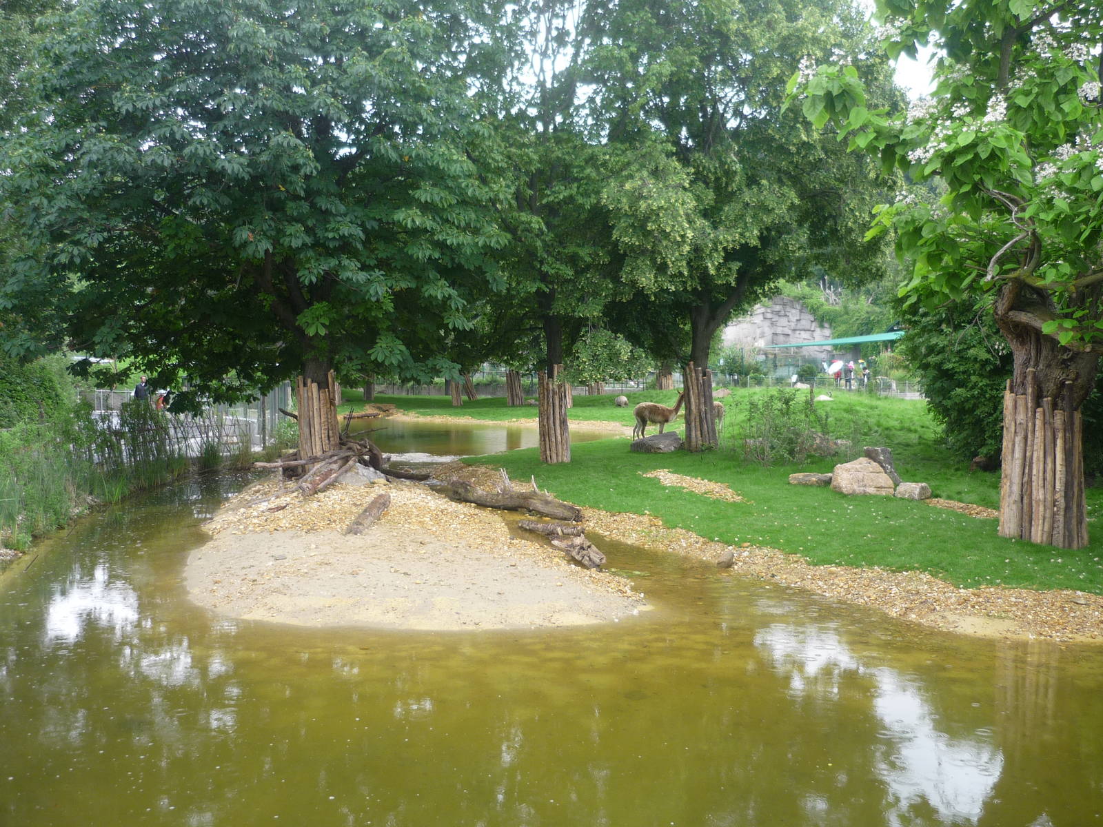 New South American Exhibit