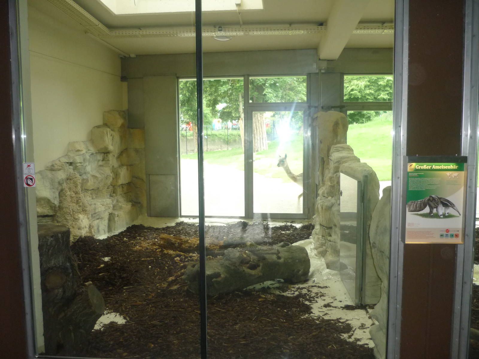 New South American House