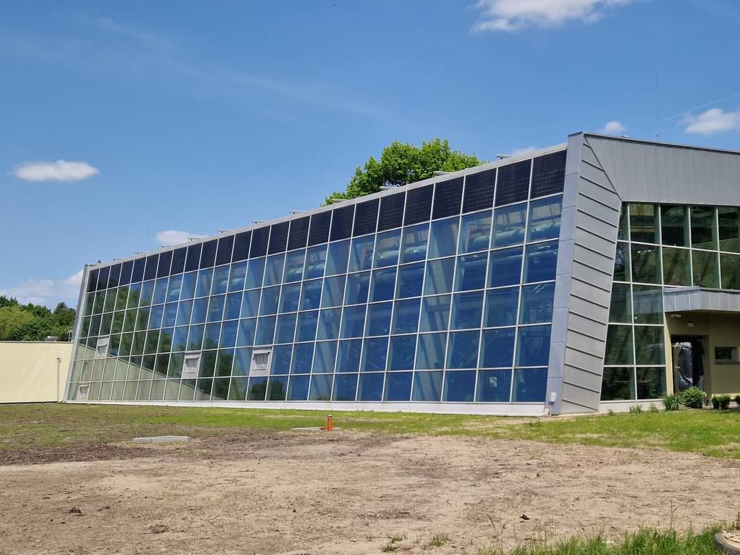 New South American tropical house coming soon