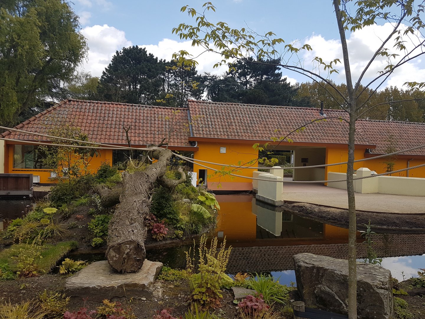 New South American Walk-through Area