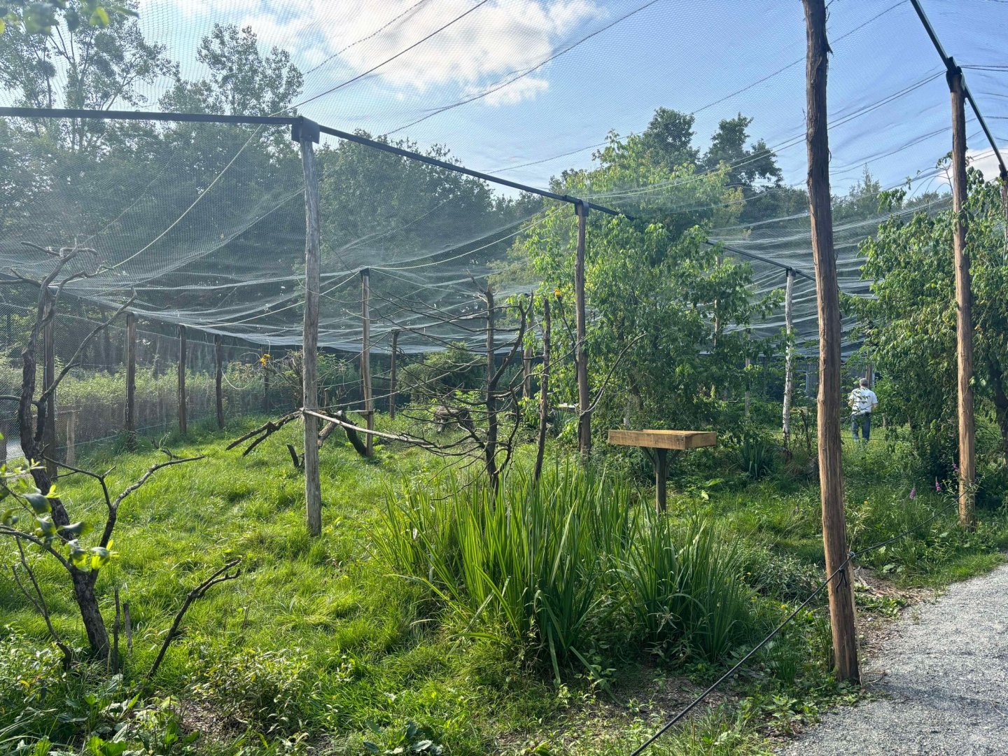 New South-American walkthrough aviary