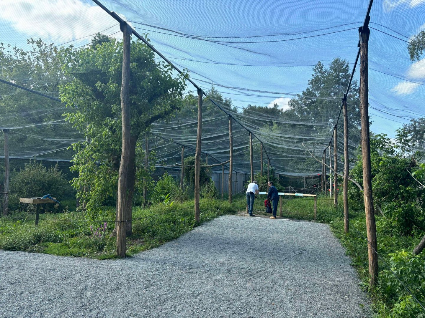 New South-American walkthrough aviary