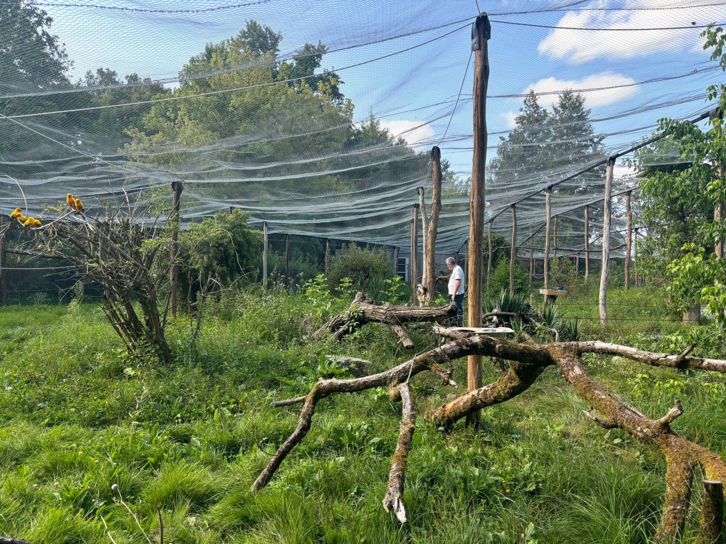 New South-American walkthrough aviary