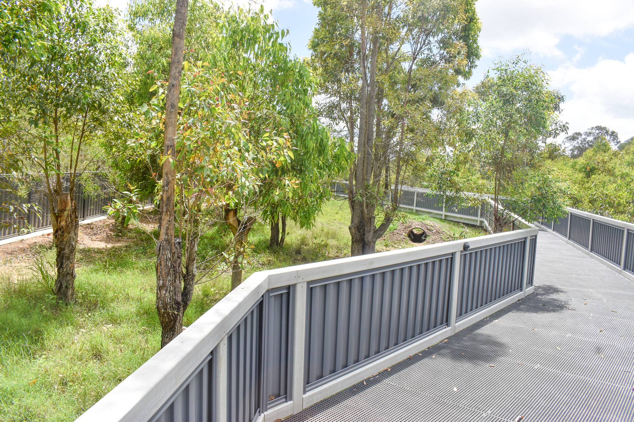 New Southern Hairy-nosed Wombat Enclosure
